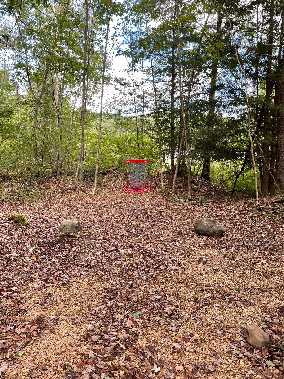 Hole #5