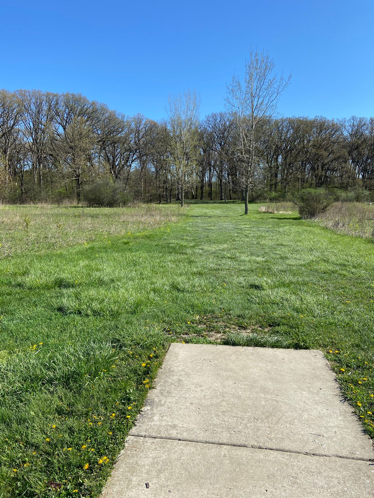 Hole 6. Straight 579 foot par 4. Same as silver course. Need to hit the fairway at the tree line.