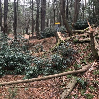 Hole 1 basket