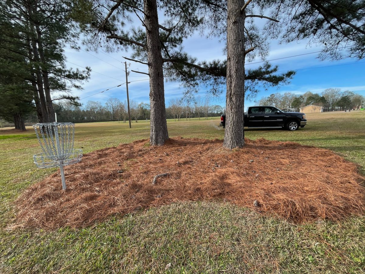 Hole 1 putting ‘green’