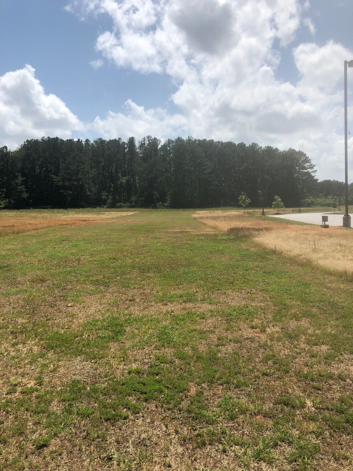 Hole 4