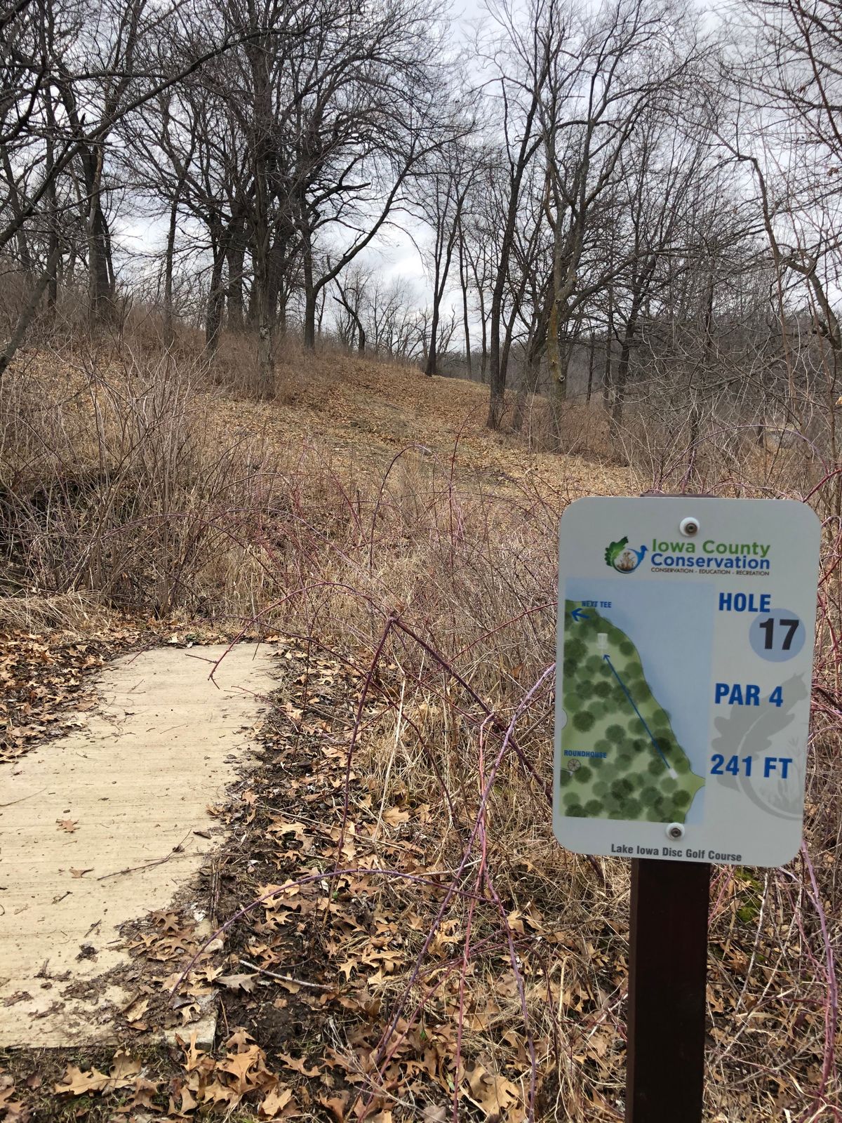 17 Tee pad