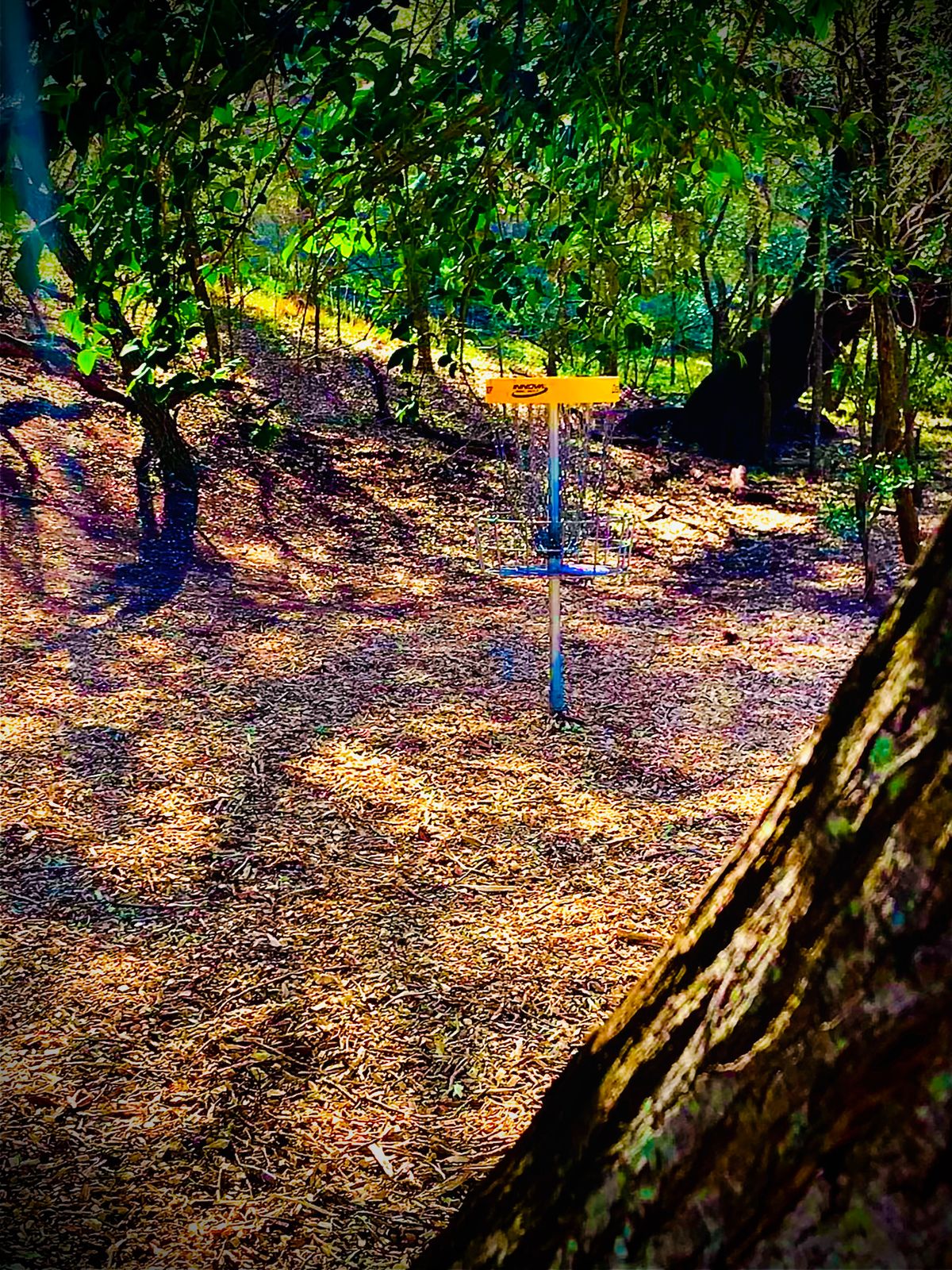Hole 5’s green