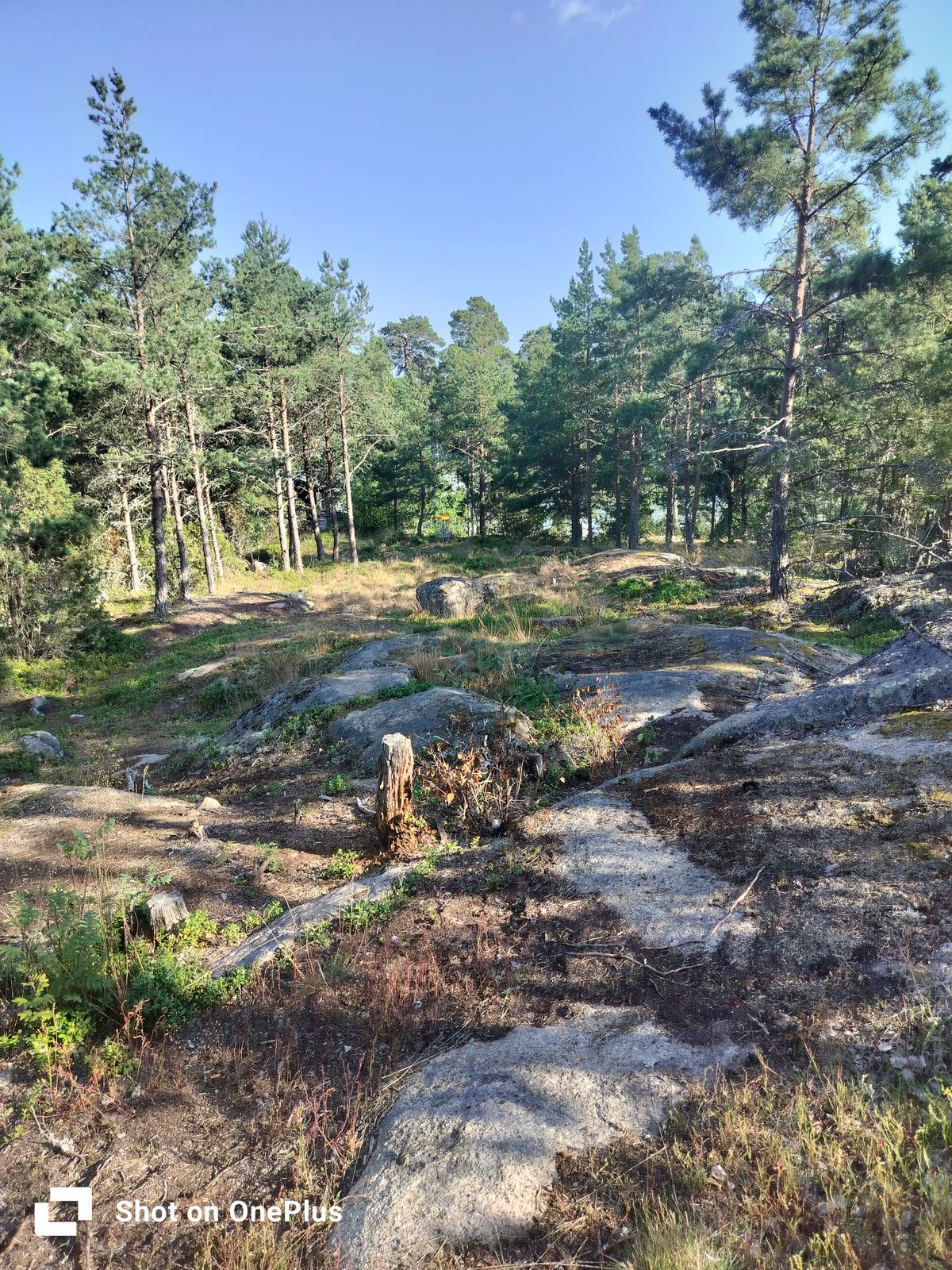 Väylä 18