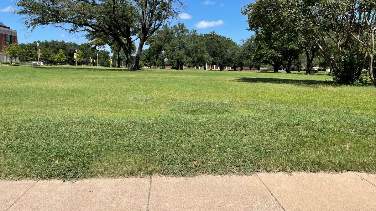 Hole 3