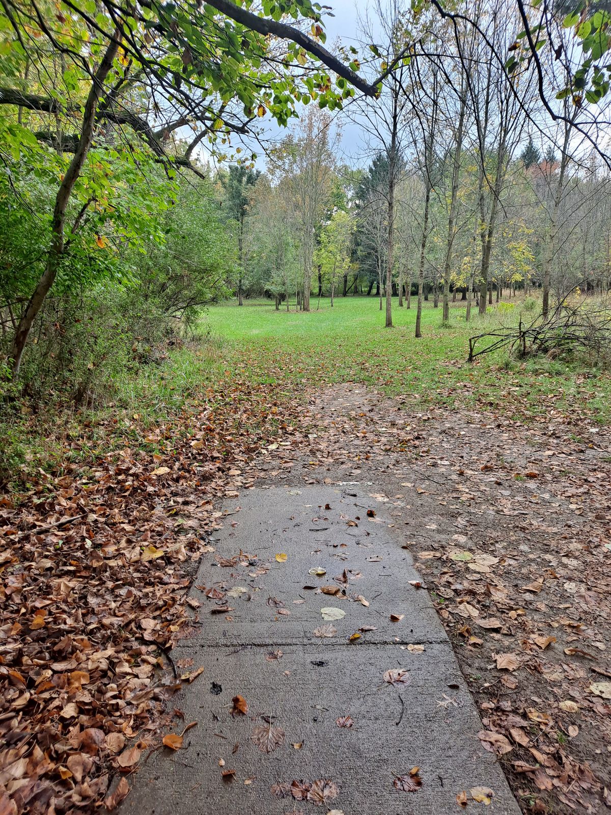 Hole 9