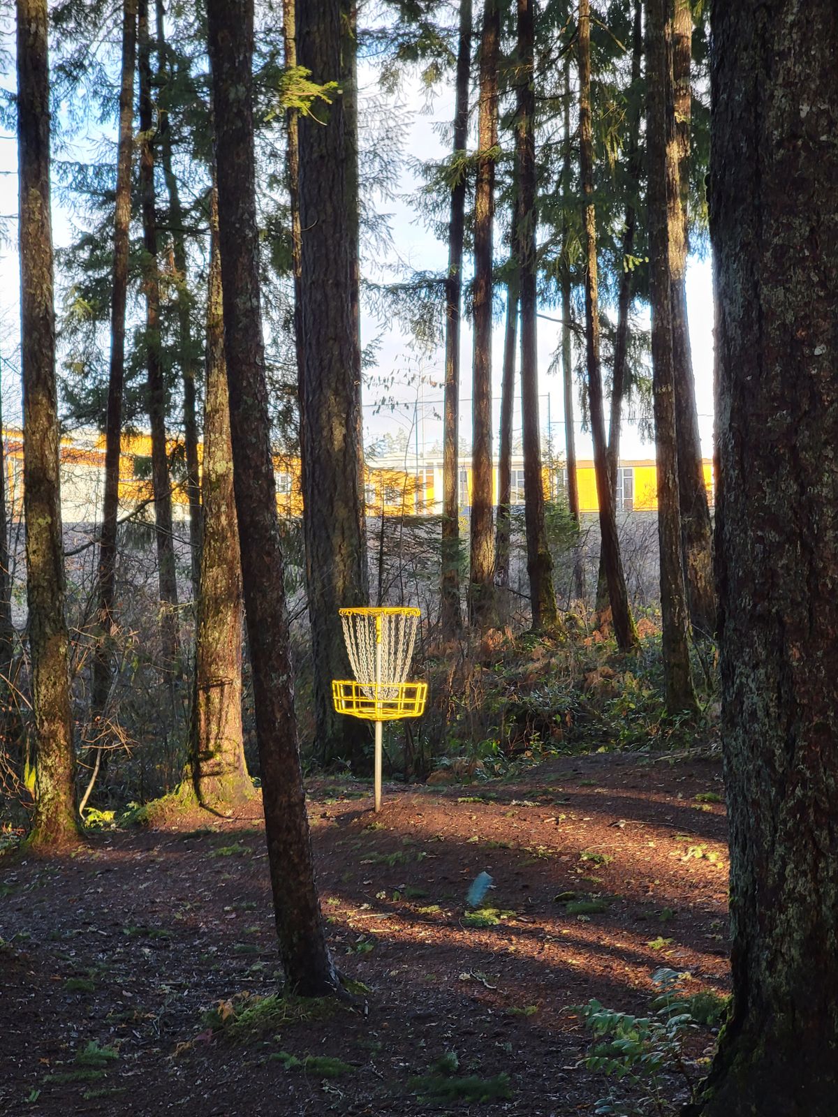 Basket of hole 7