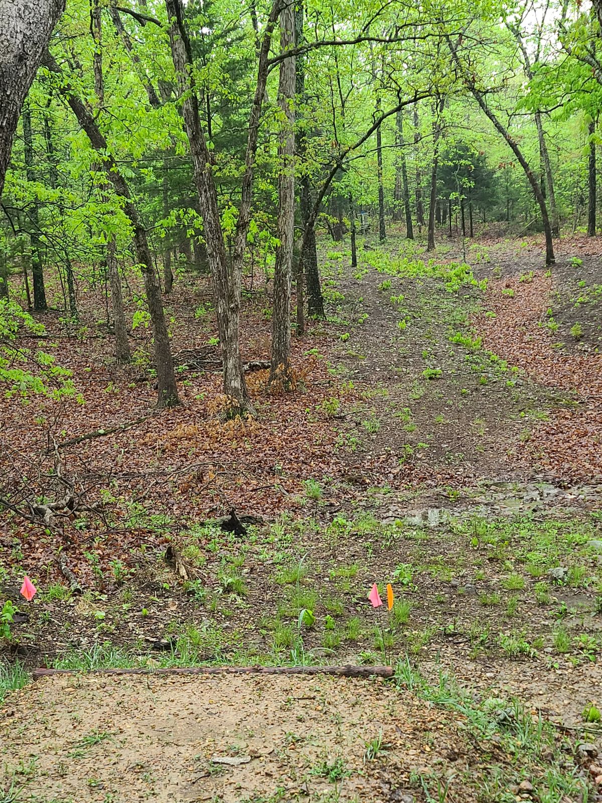 Hole 5 tee pads