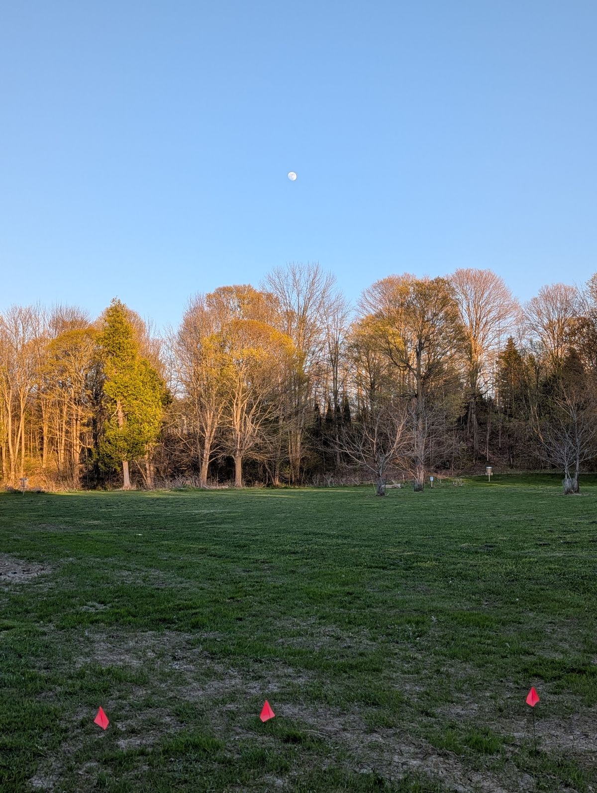 Loved seeing the moon while disc golfing.