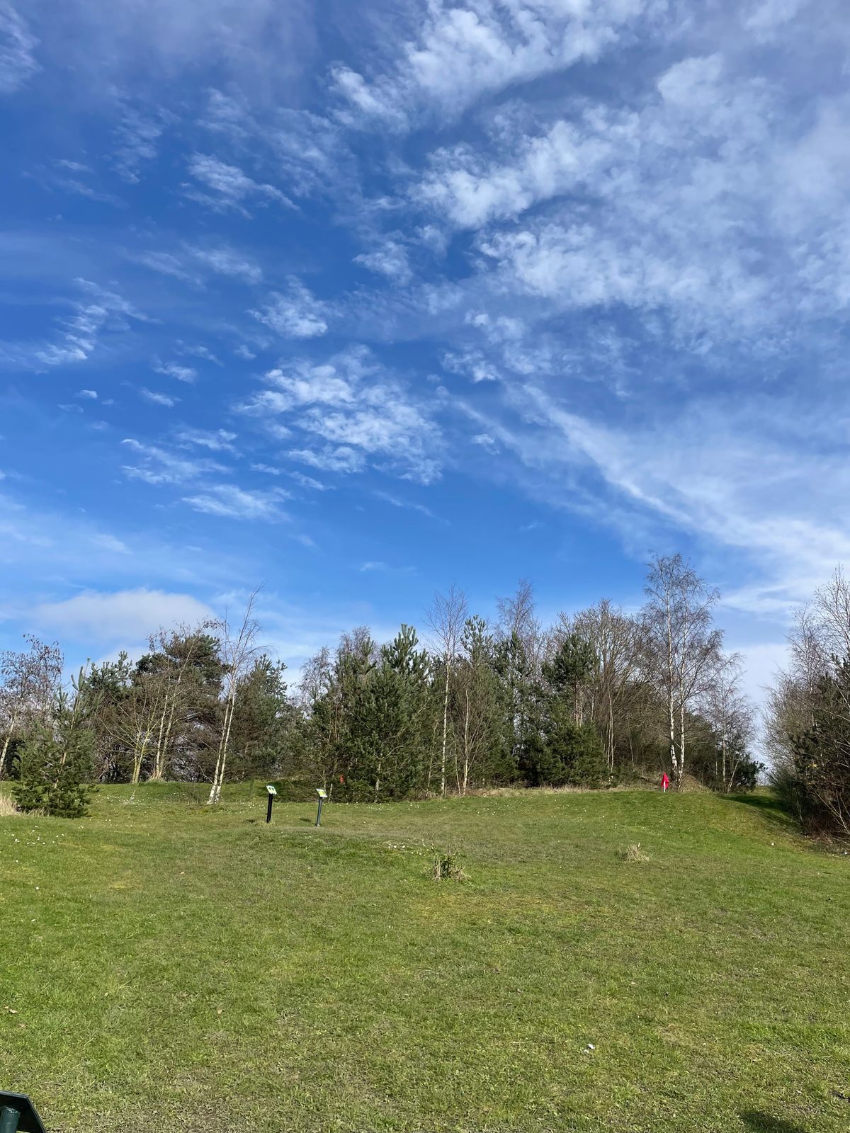 Looking up to 4th basket on a bright winters day