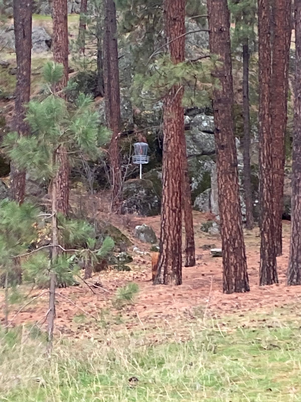 Hole 19 fairway