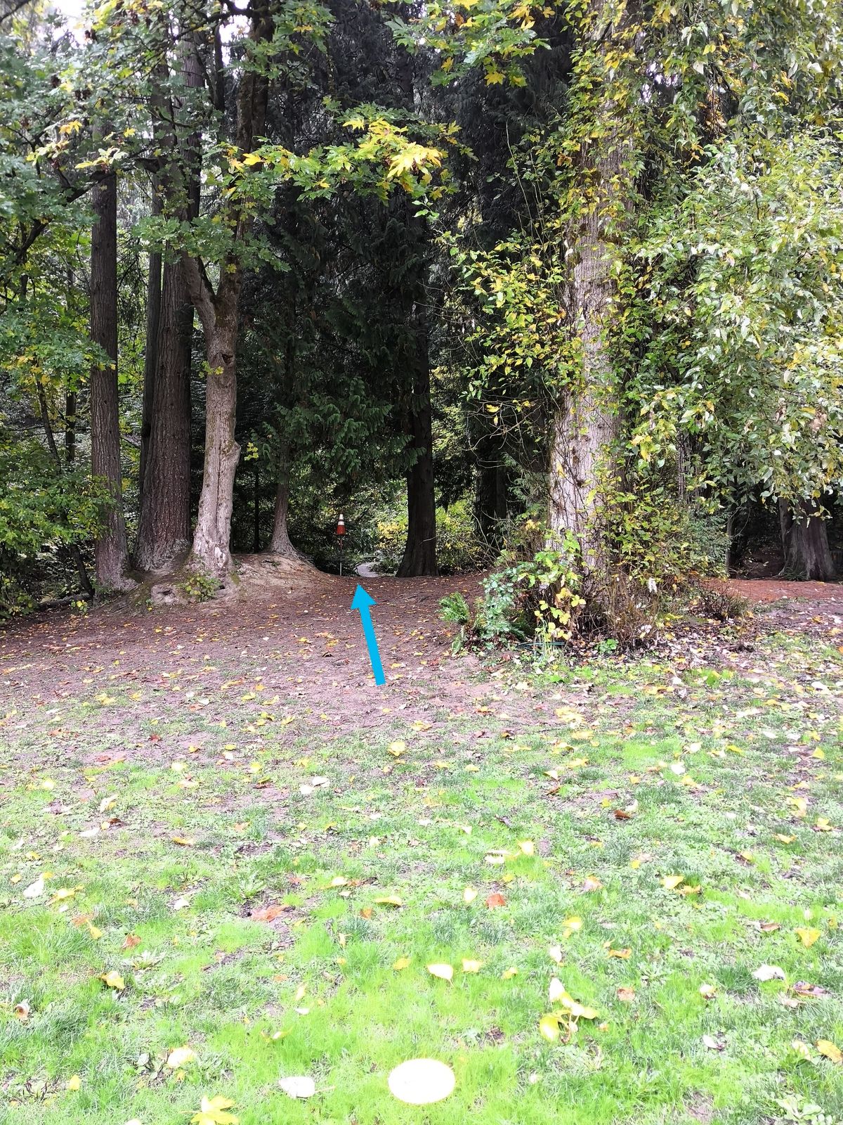 Hole 4, from the right side of the fairway