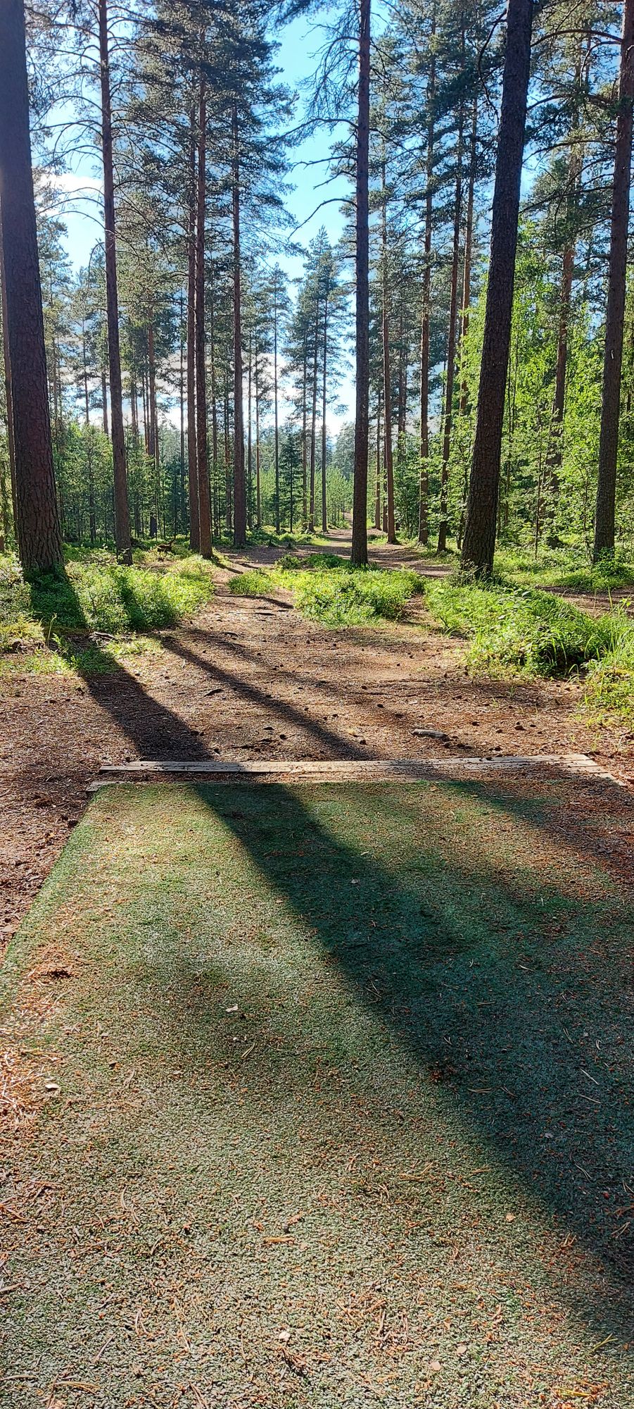 Tarinalaakso Old Course hole 7 tee