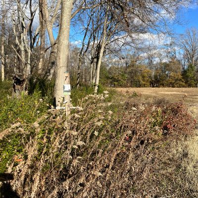 Hole 7 tee