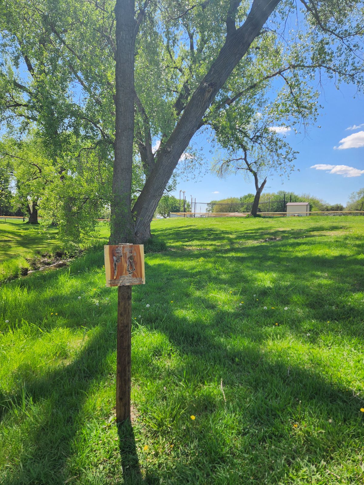 Hole 2 Tee