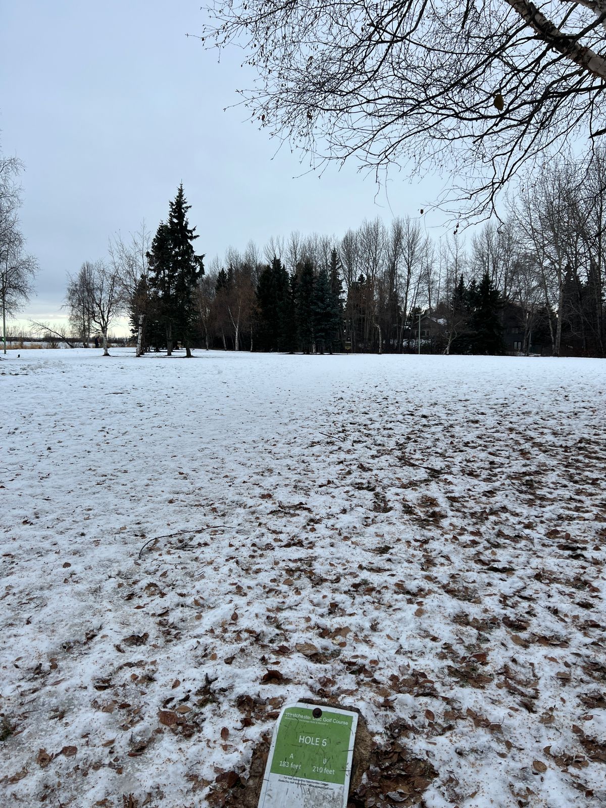 Hole 6