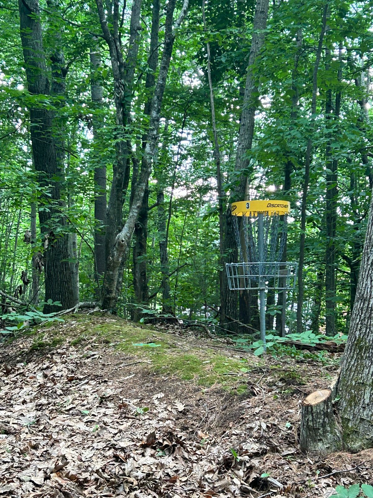 The 3rd hole is one of my favorites primarily because I could envision how it would look from the first day I started mapping out the property. It's taken a ton of cutting and cleaning, but following the ridge and then finishing with an elevated basket is picturesque.