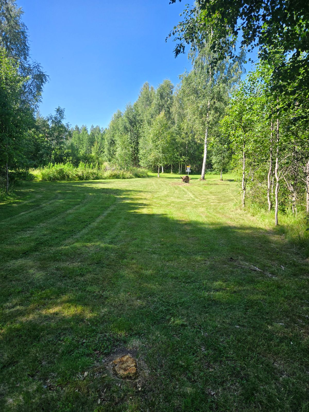 Hål 10