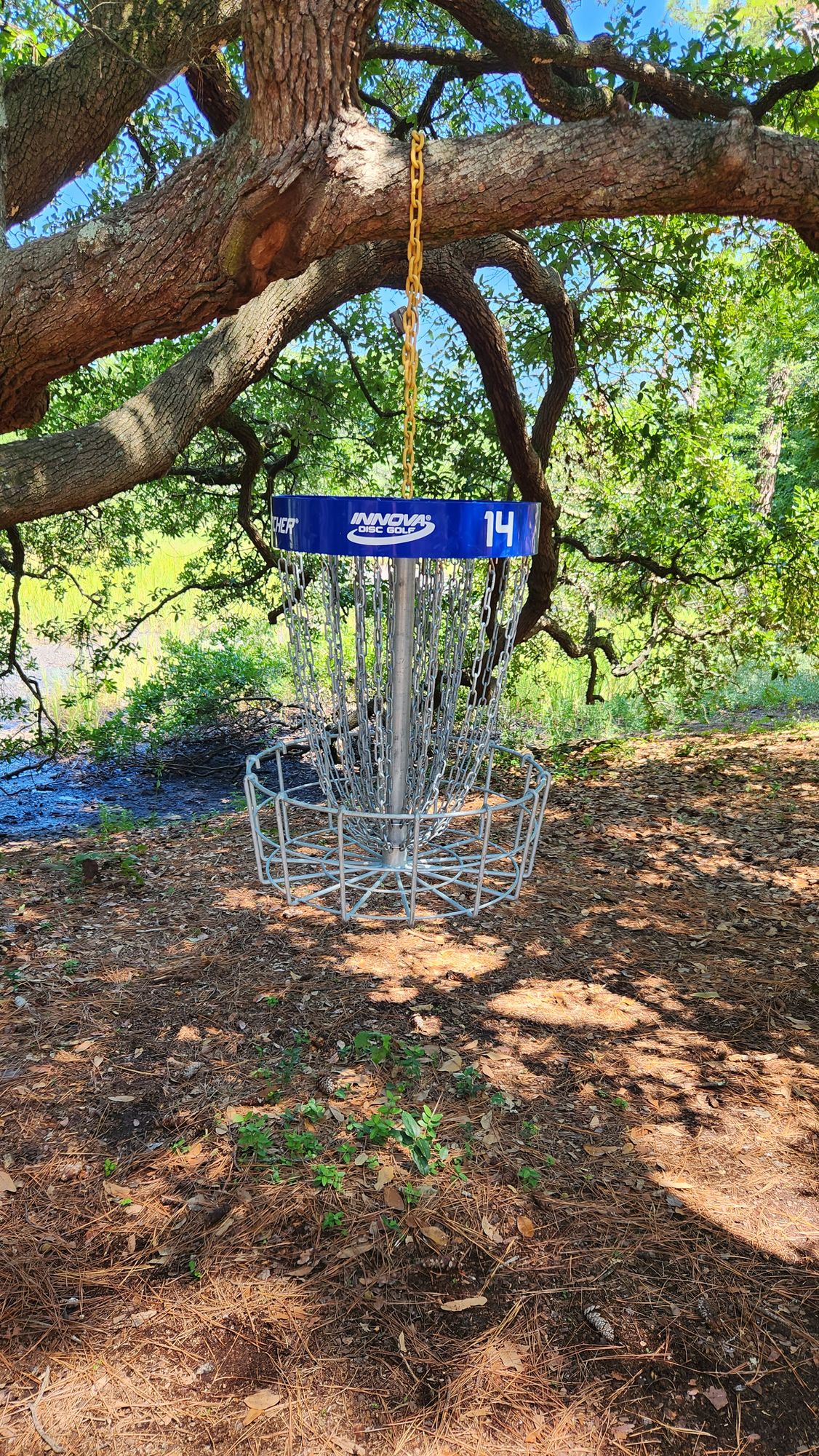 Hole 14 hanging basket
