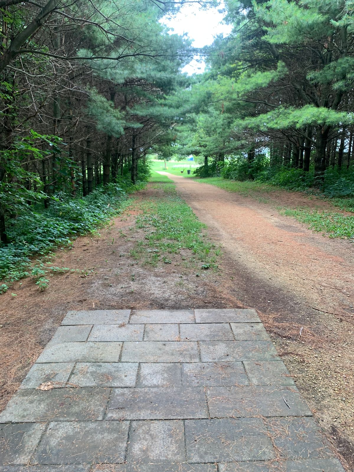 View of hole 12
