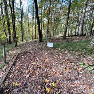 Hole 3 tee
