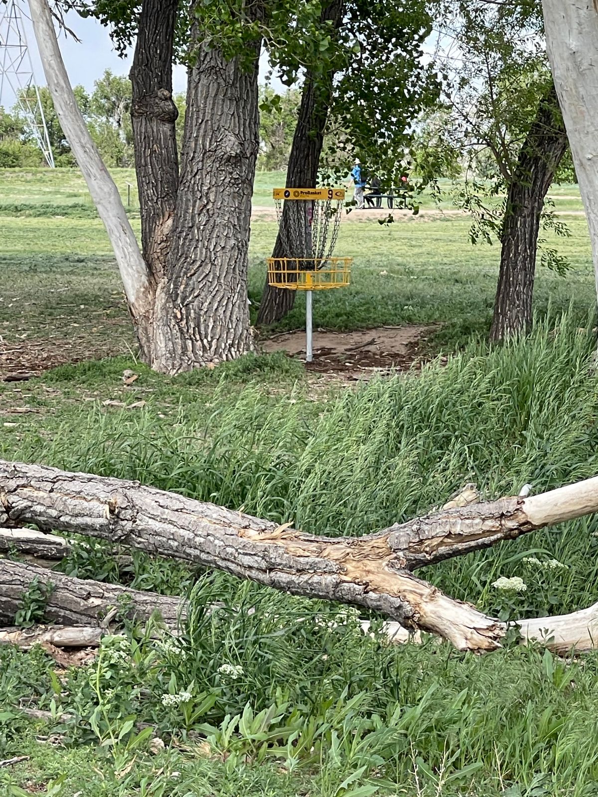 Hole 9