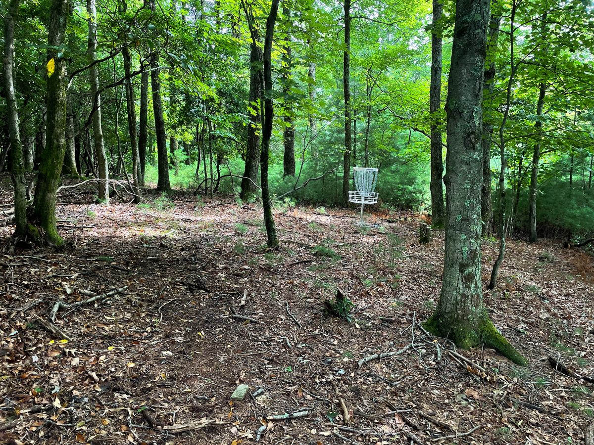 Hole 18 green.