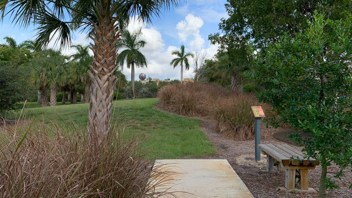 Hole 4