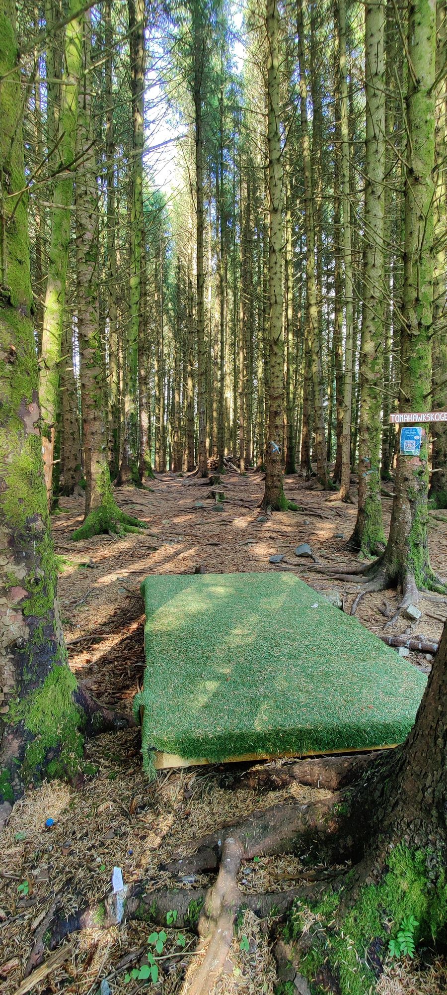 Tee hole 1