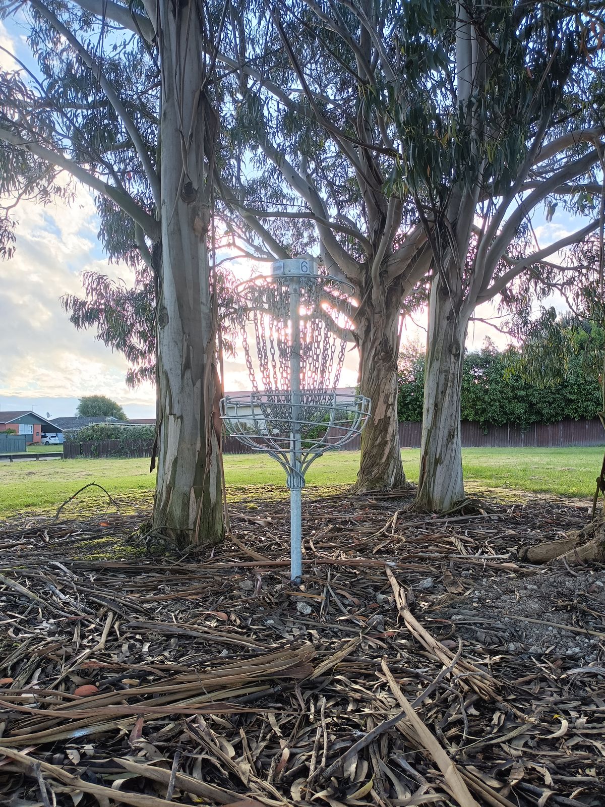 Hole 5 basket