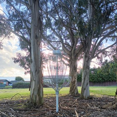 Hole 5 basket