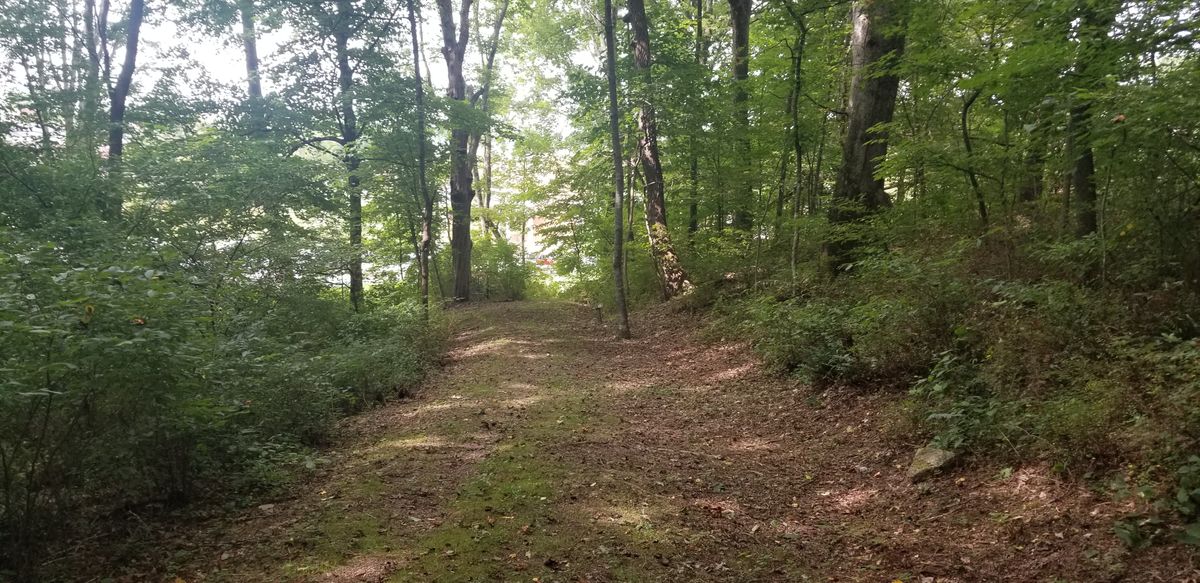 #9.  Very sharp dogleg to the right, this is the look to the basket from the corner of the dogleg.