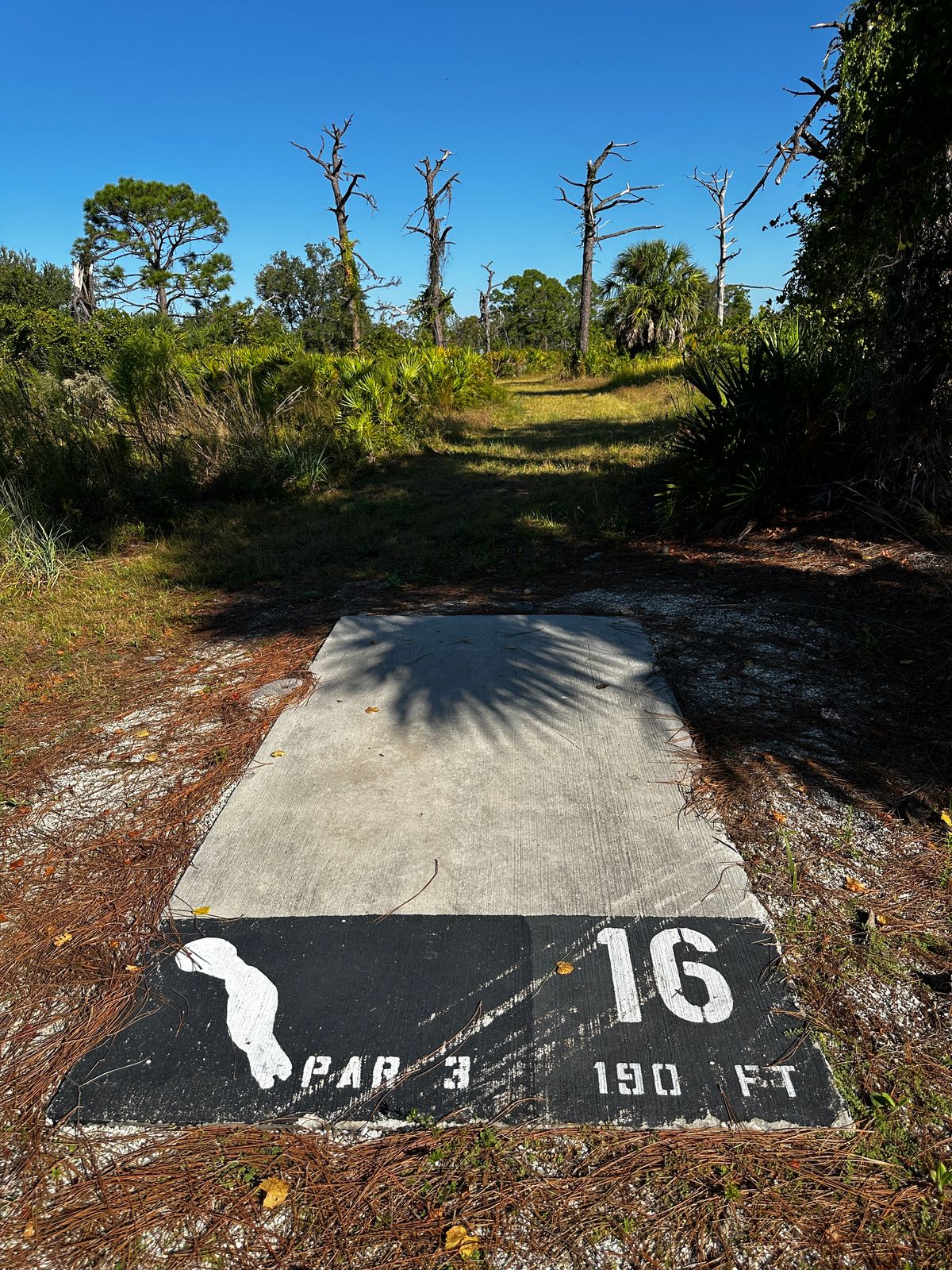 Current tee location 10/2025. 185 ft to basket from front of tee