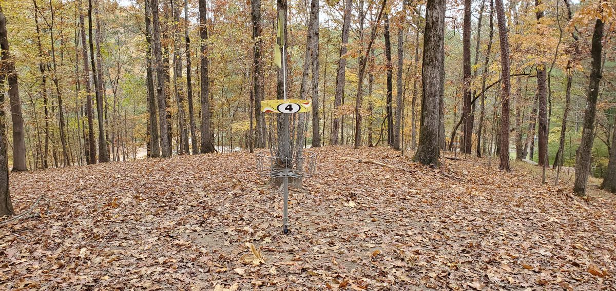 Hole 4 basket