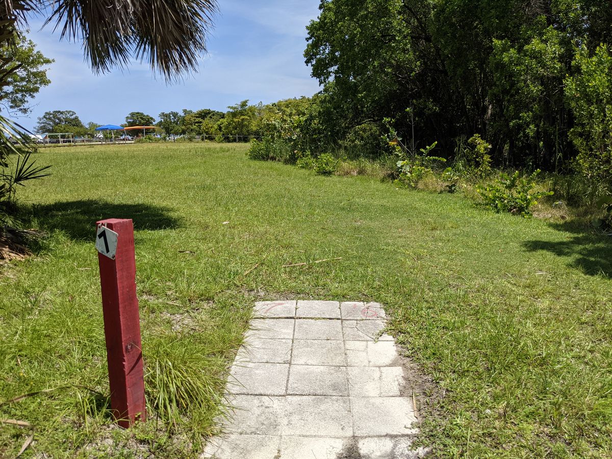 Tee pad 7