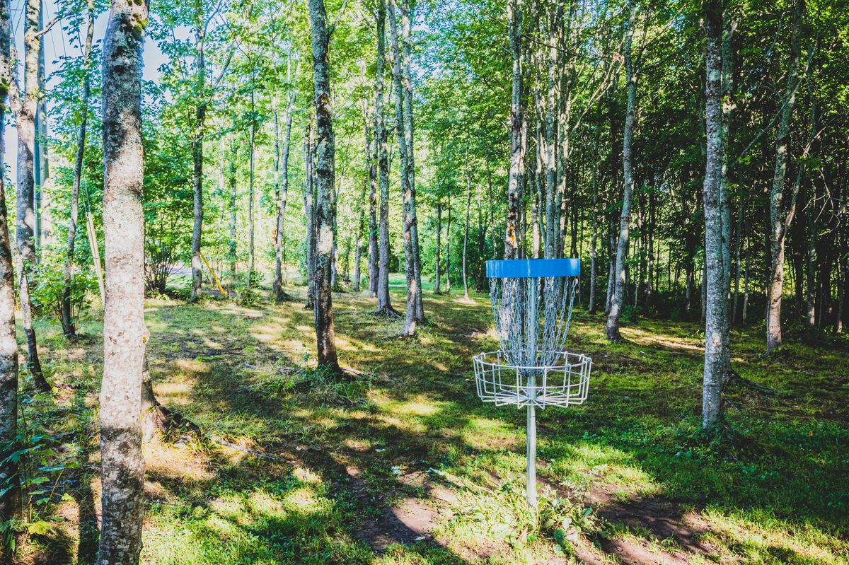 Hole 4 Basket looking back towards the tee pad. 