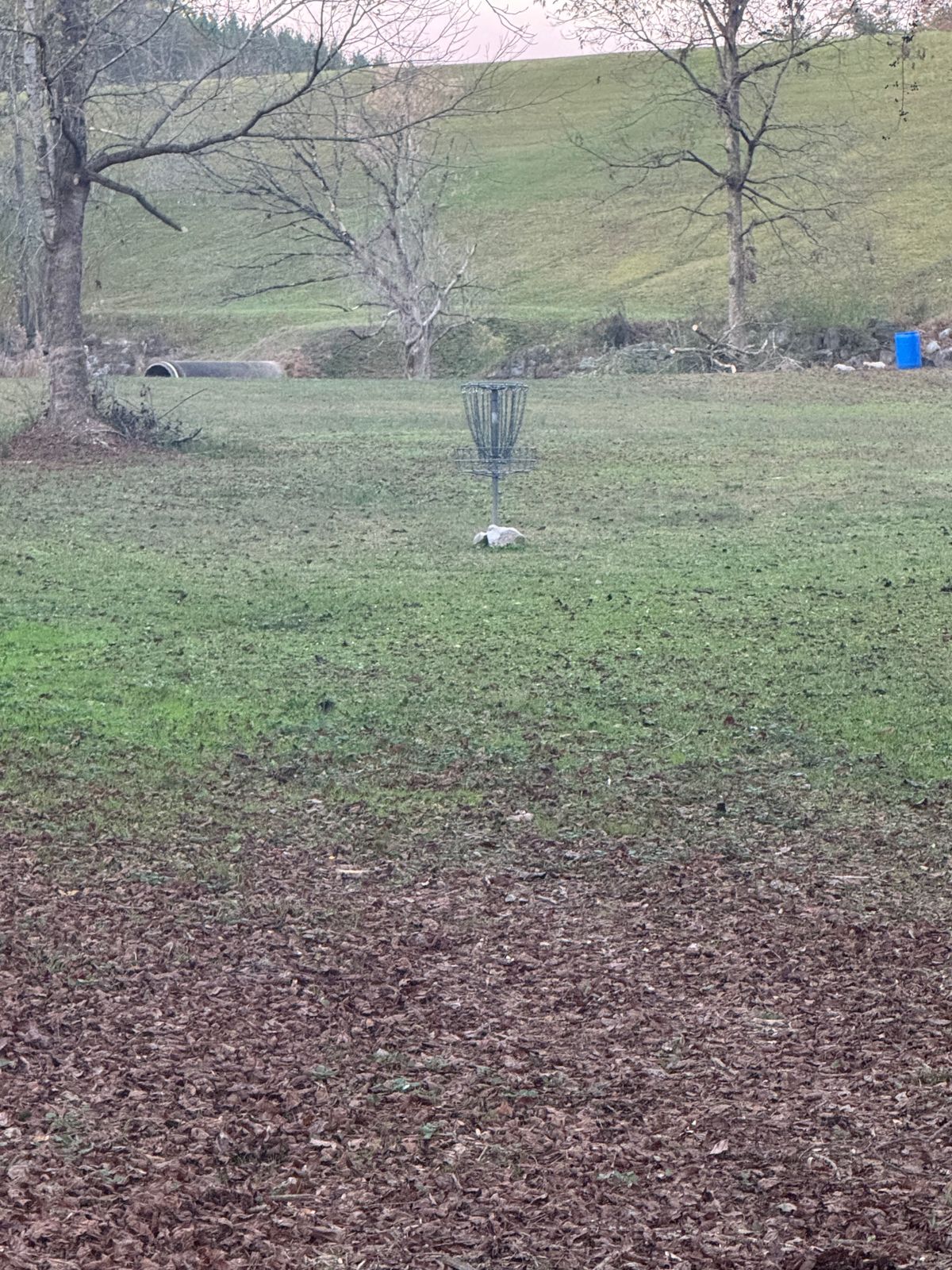 Hole 13 long Teepad