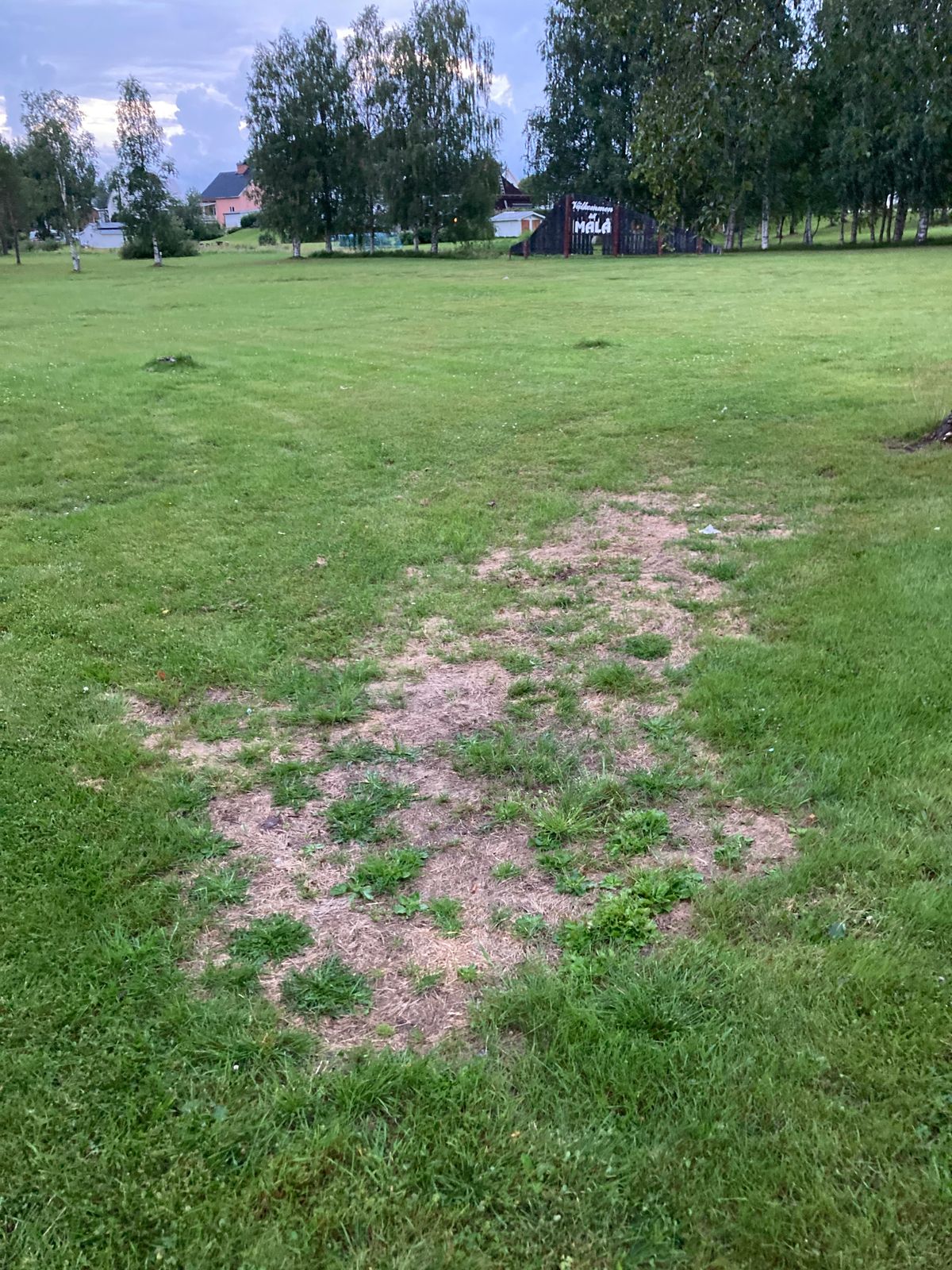 Tee 3