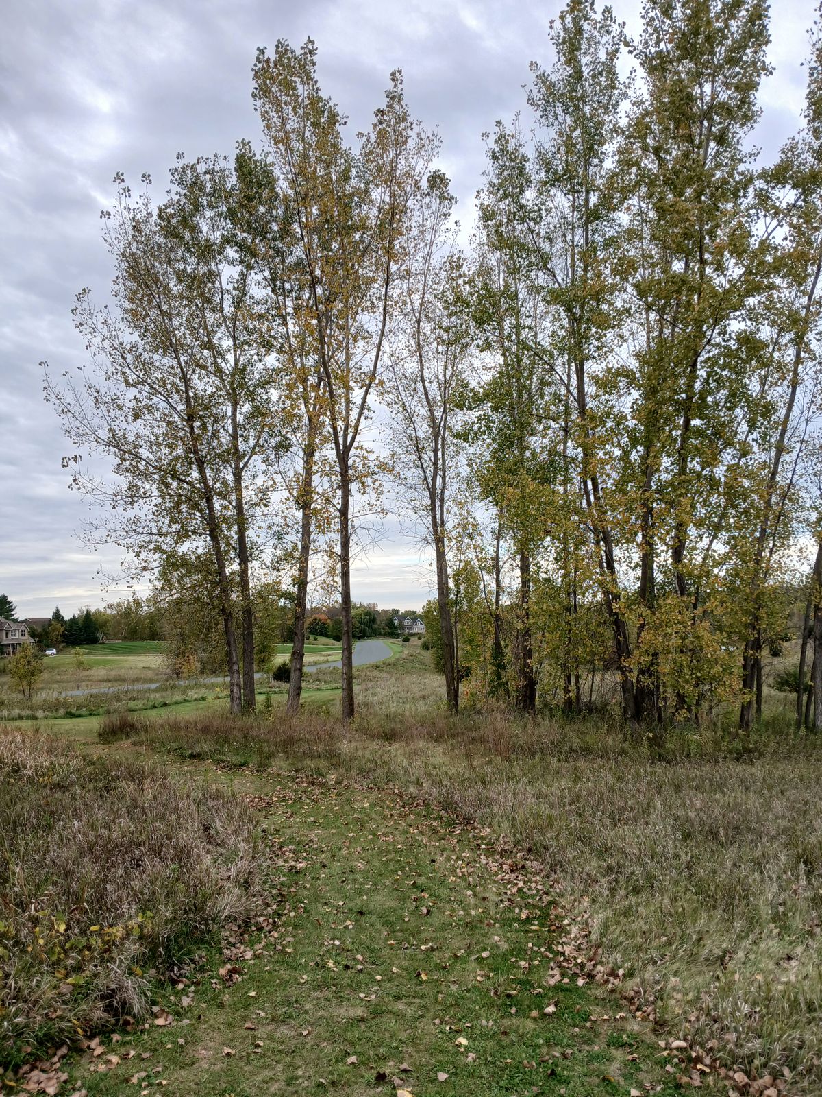 Hole #6  336 ft
Love the middle gap now 😍