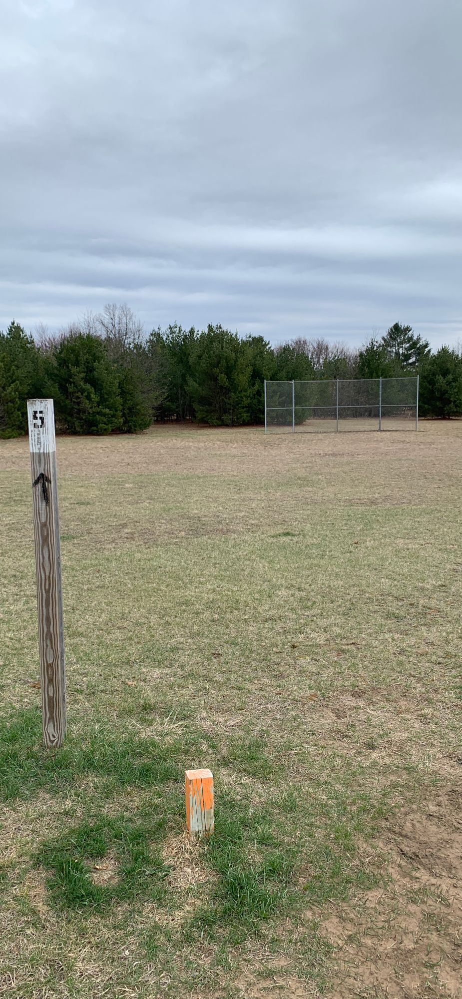 Hole 5 tee