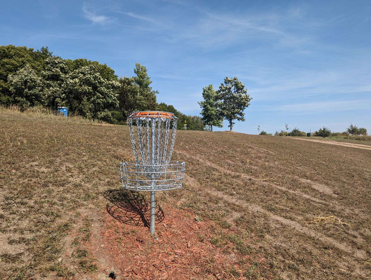 Short Basket