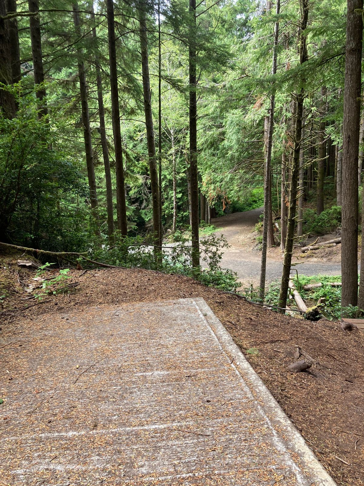 Hole 8 Aug 2022
