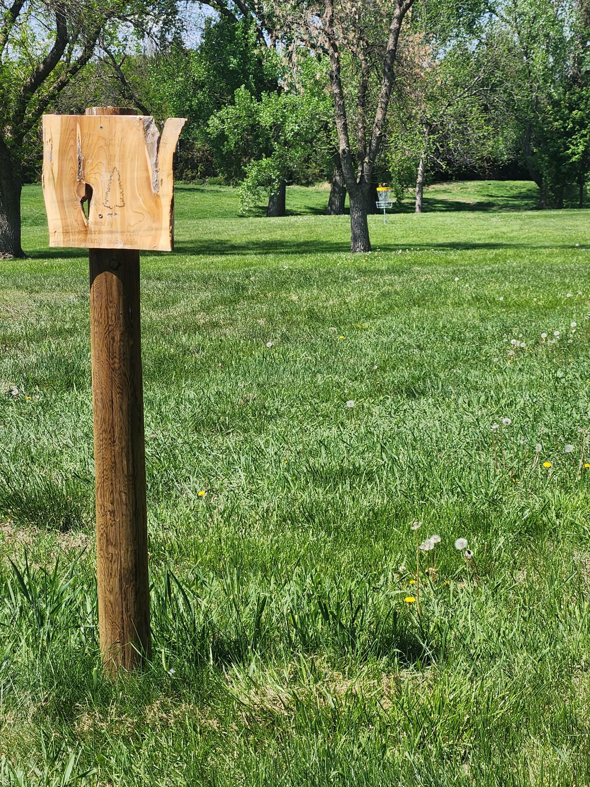 Hole 5 Tee