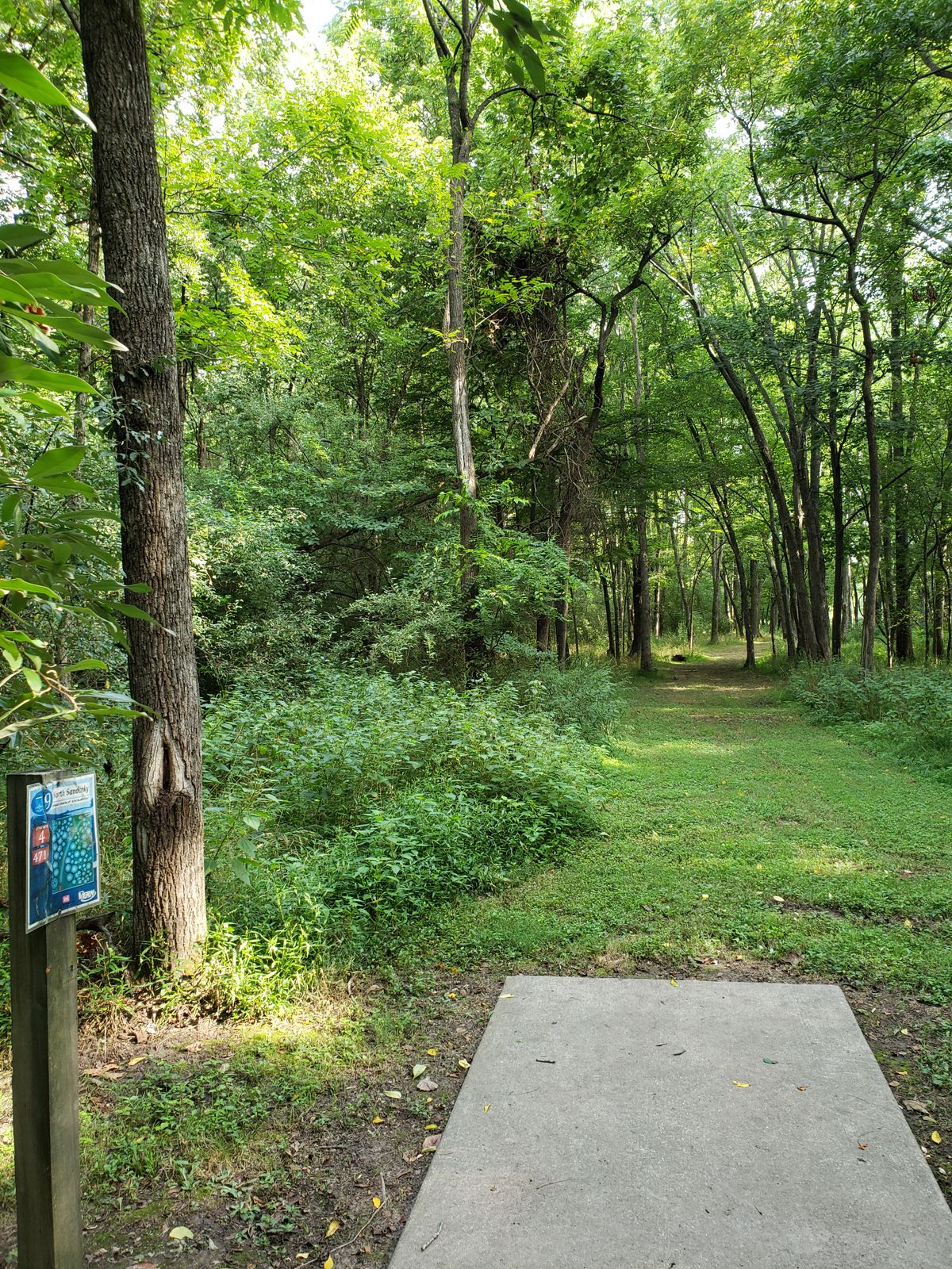 #9 Tee-Pad and Fairway,  Basket not visible.