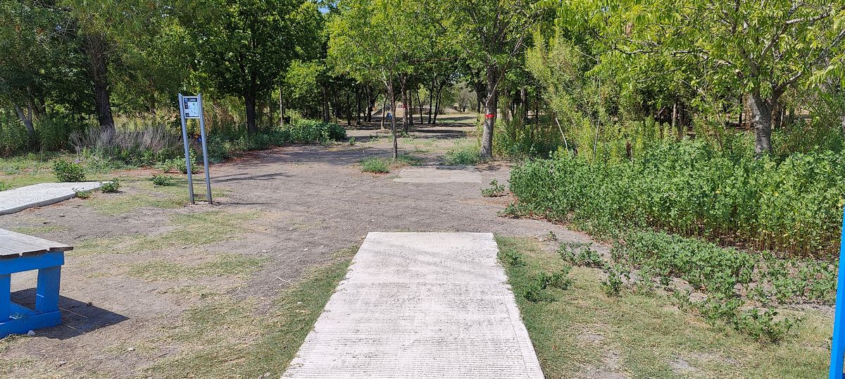 Hole 3 tee pad. Mando tree on right then thru a triple Mando.