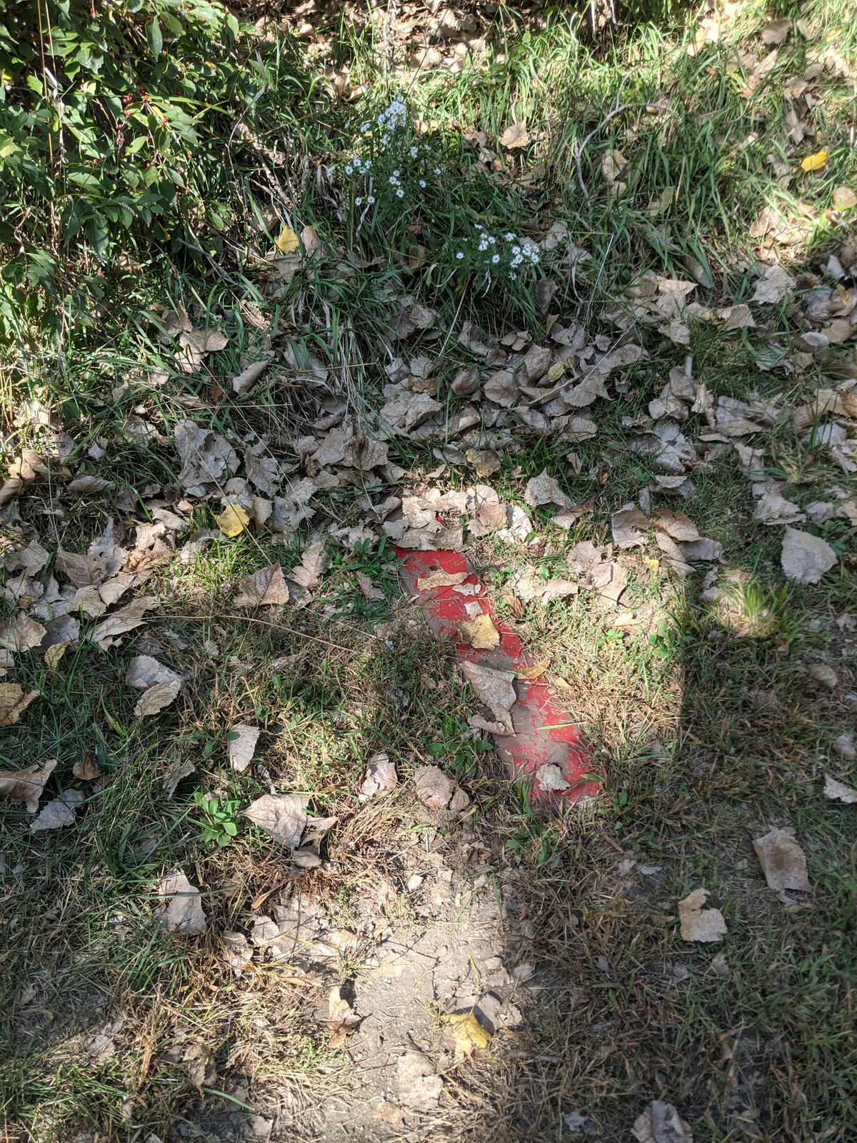 Tee for hole 7