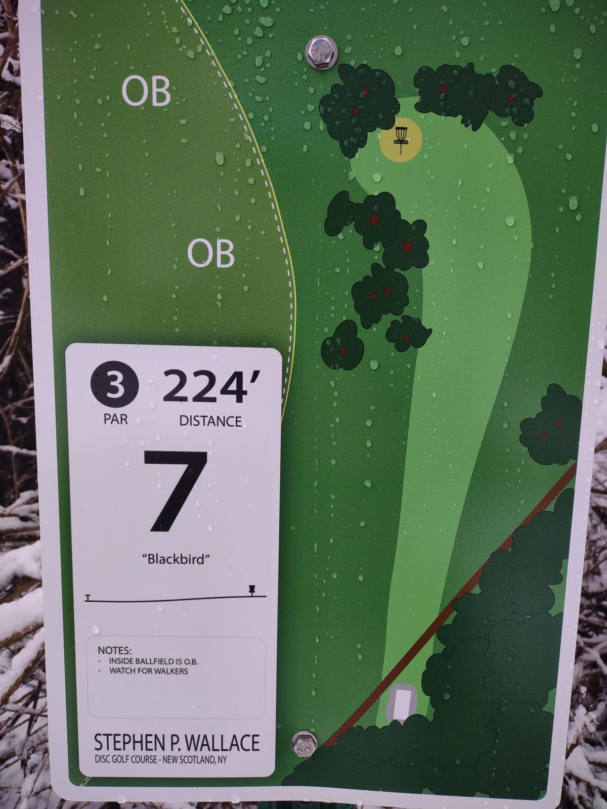 Hole 7 White