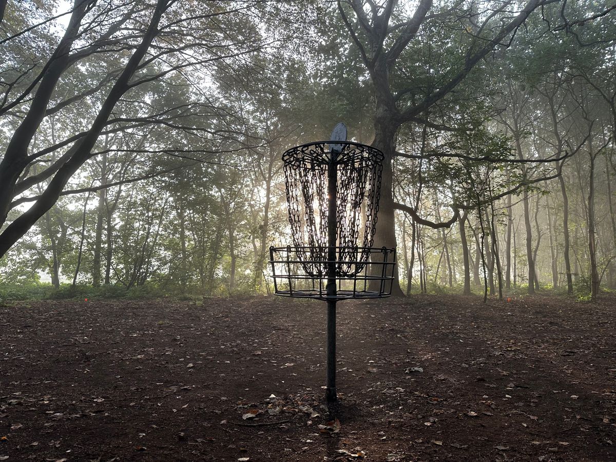 Hole 3 basket
