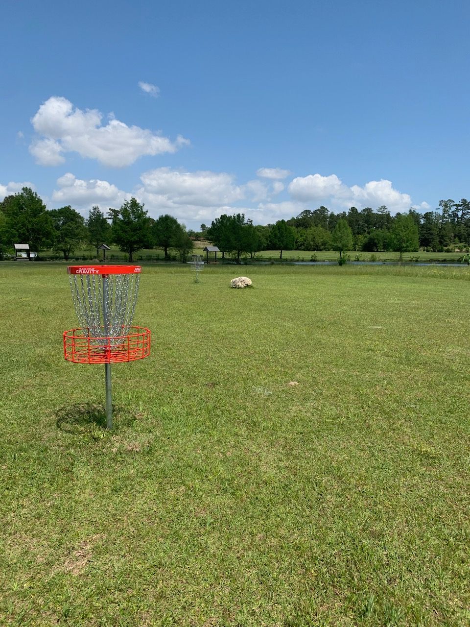 Hole 18 short basket