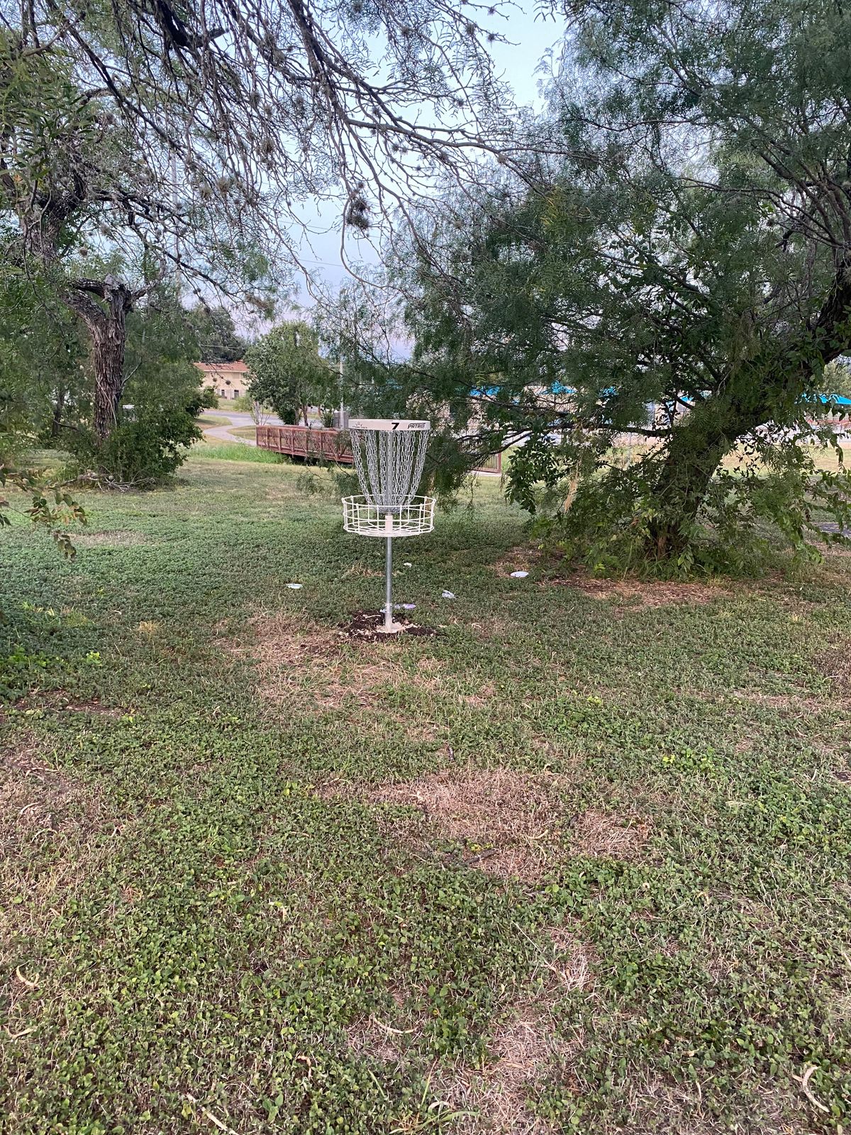 Hole 7 basket.
